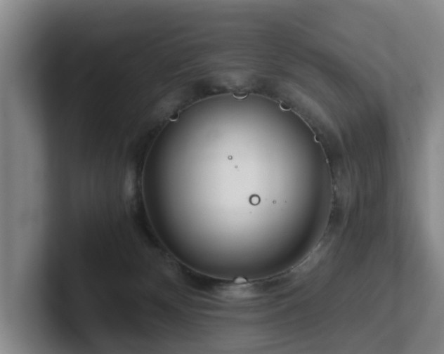 X0000101960132200807251202