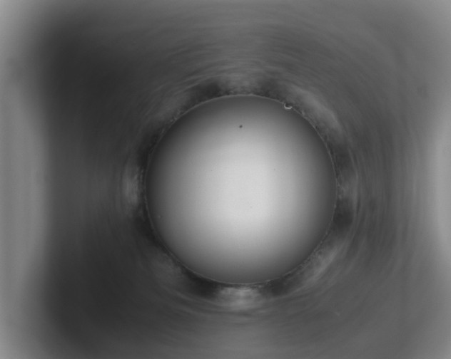 X0000101960133200807251202