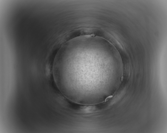 X0000101960135200807251202