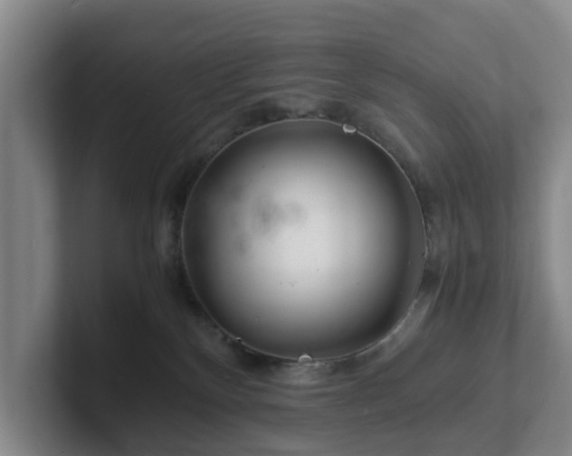 X0000101960136200807251202