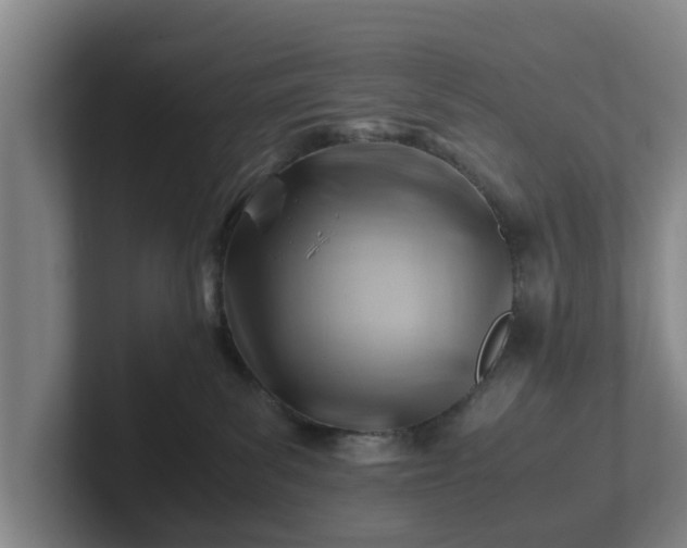 X0000101960139200807251202