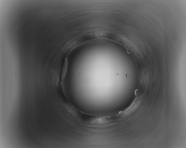 X0000101960140200807251202