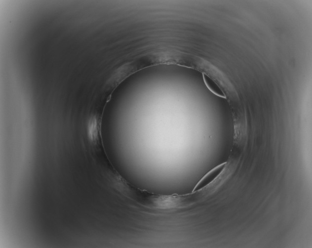 X0000101960142200807251202