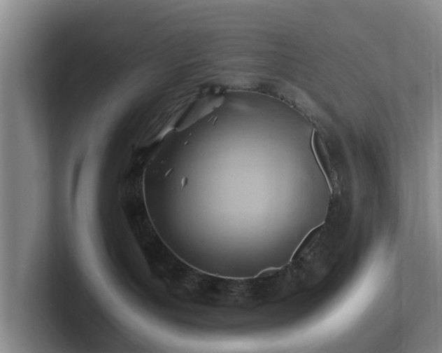 X0000101960143200807251202