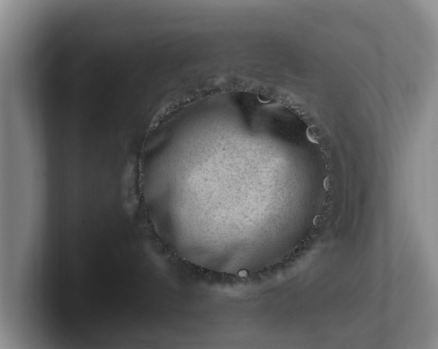 X0000101960144200807251202