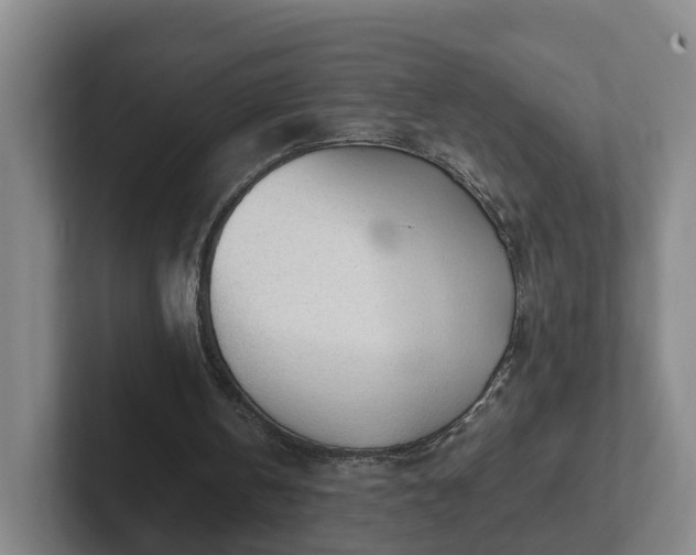 X0000101960146200807251201