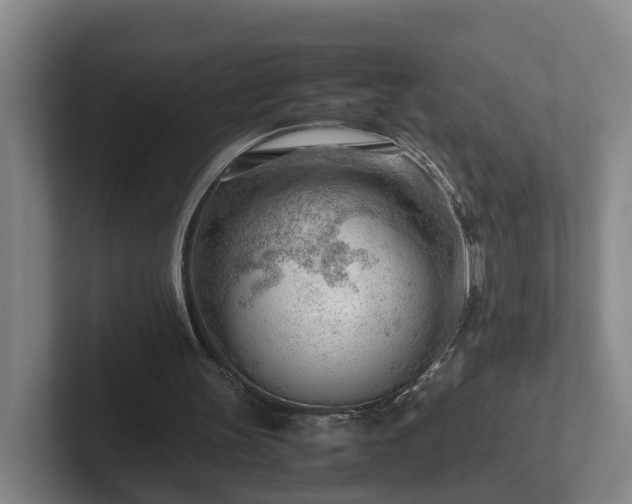 X0000101960147200807251201