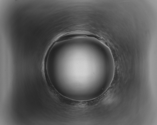 X0000101960148200807251201