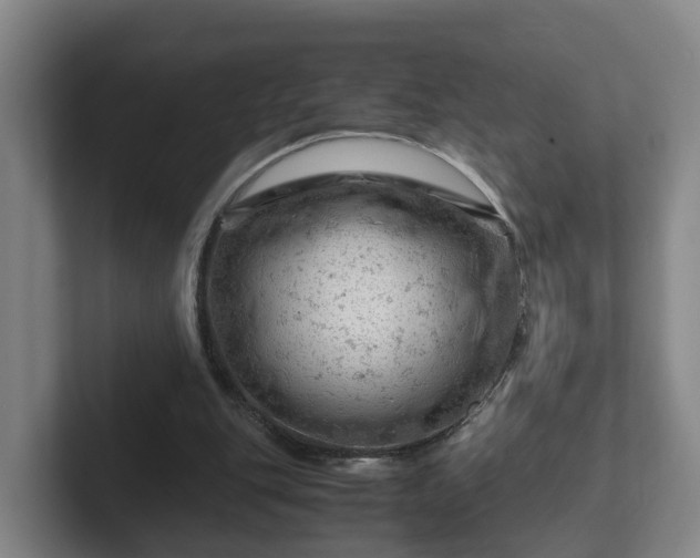 X0000101960151200807251201