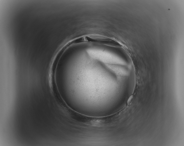 X0000101960152200807251201