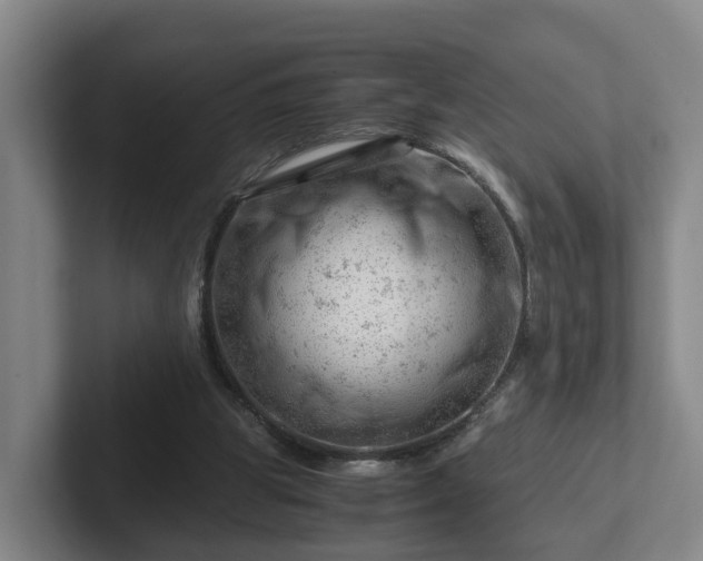 X0000101960153200807251201