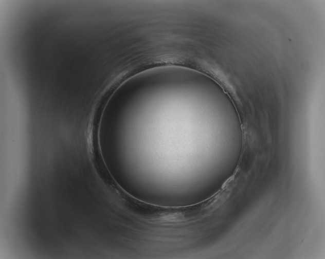 X0000101960154200807251201