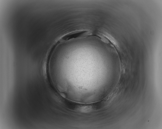 X0000101960155200807251201