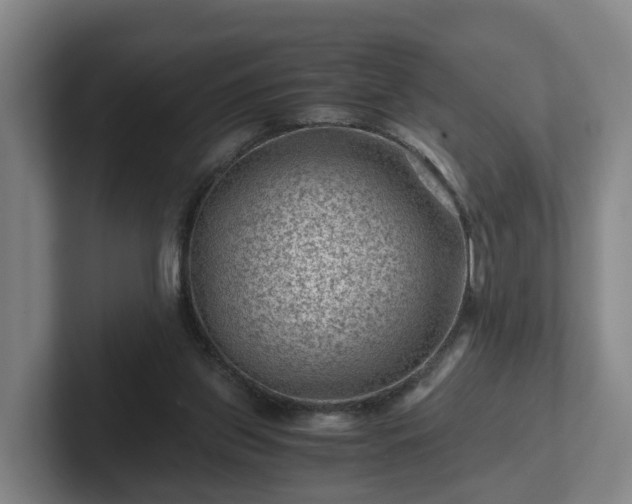 X0000101960157200807251201