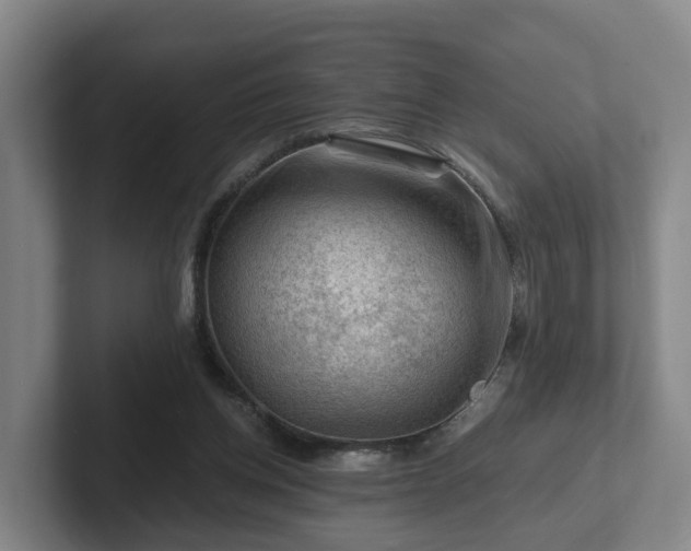 X0000101960158200807251201