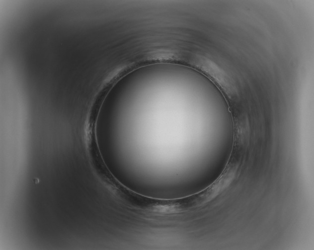 X0000101960160200807251202