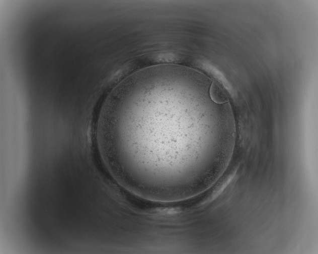 X0000101960161200807251202