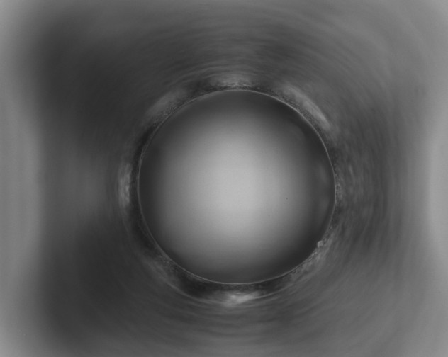 X0000101960163200807251202