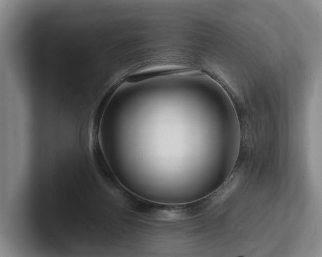 X0000101960164200807251202