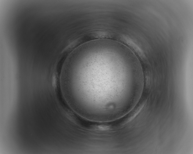 X0000101960165200807251202