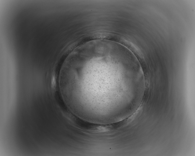 X0000101960166200807251202