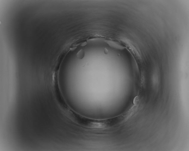 X0000101960167200807251202