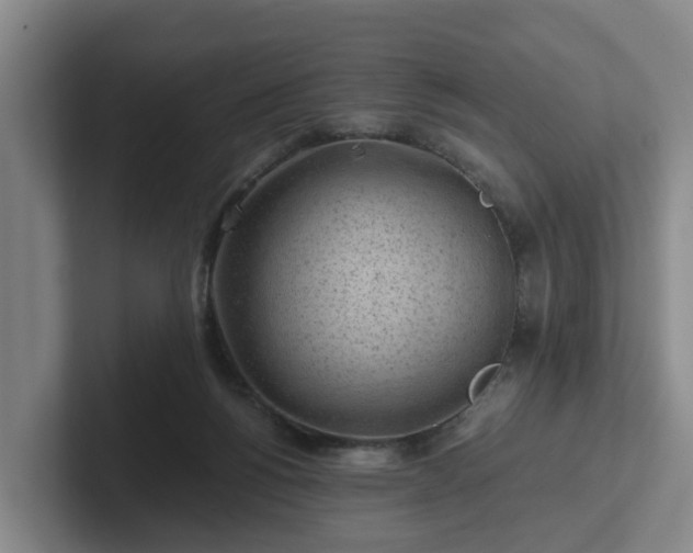 X0000101960168200807251202