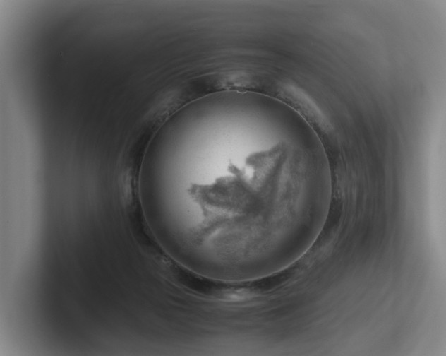 X0000101960169200807251202