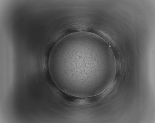 X0000101960170200807251202