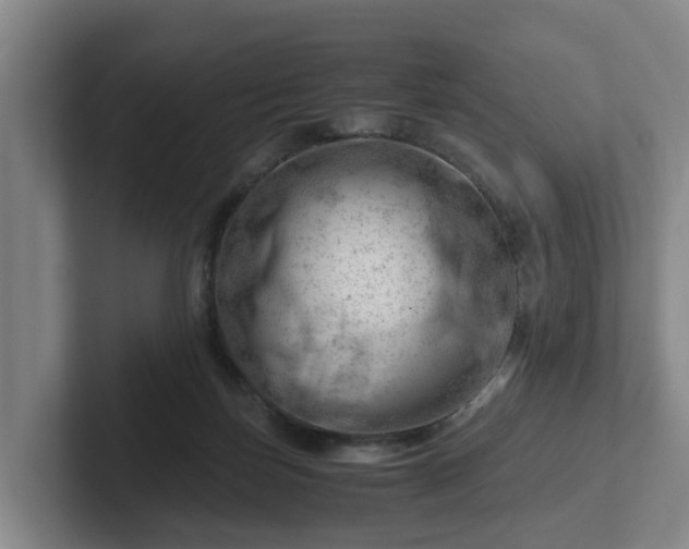 X0000101960171200807251202