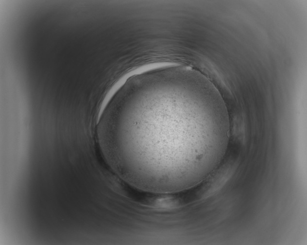 X0000101960173200807251202