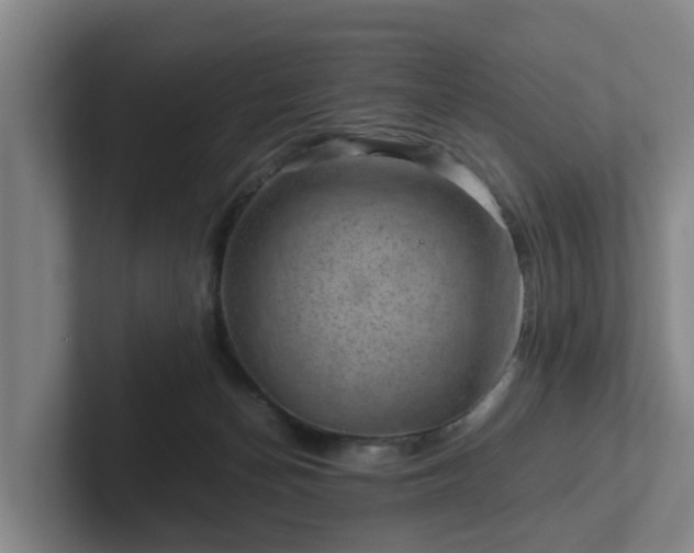 X0000101960174200807251202