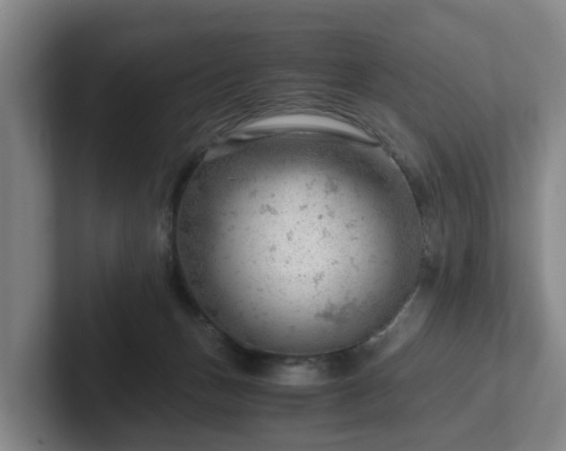 X0000101960175200807251202