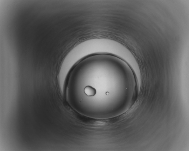 X0000101960176200807251202