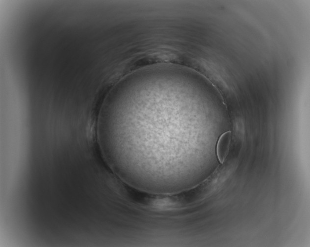 X0000101960177200807251202