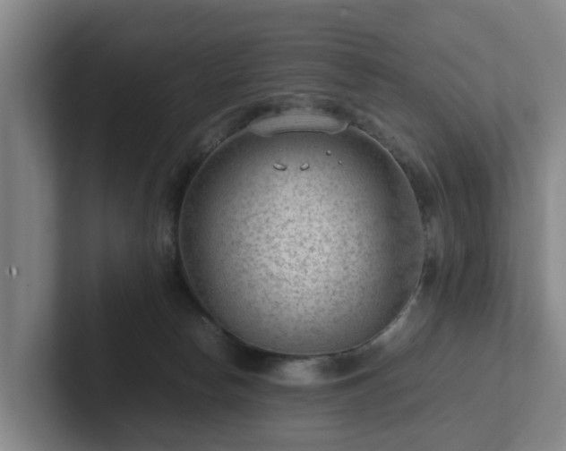 X0000101960178200807251202