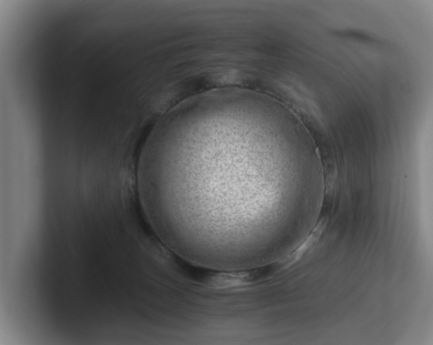 X0000101960179200807251202