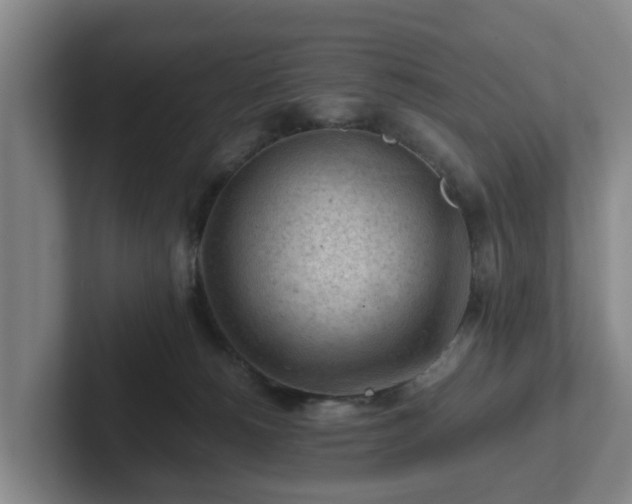 X0000101960180200807251202