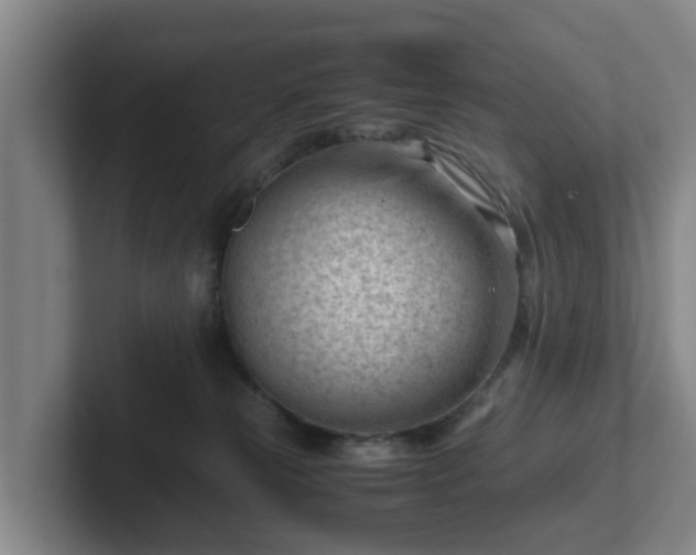 X0000101960181200807251202