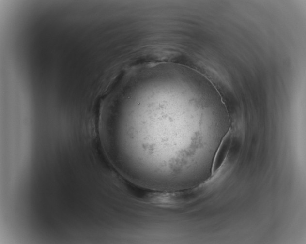 X0000101960182200807251202