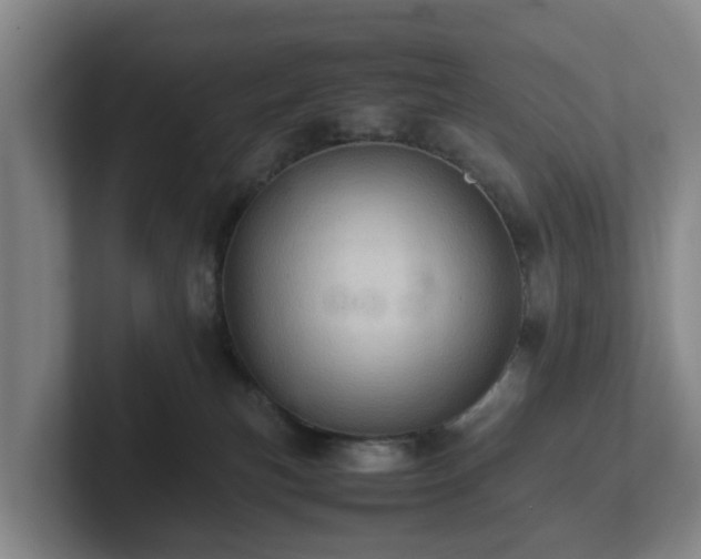 X0000101960183200807251202