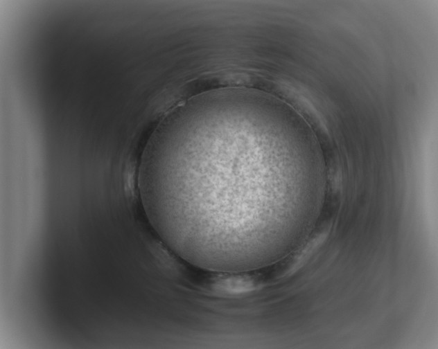 X0000101960185200807251202