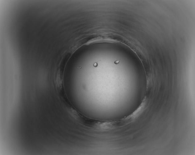 X0000101960186200807251202