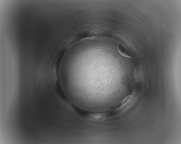 X0000101960187200807251202