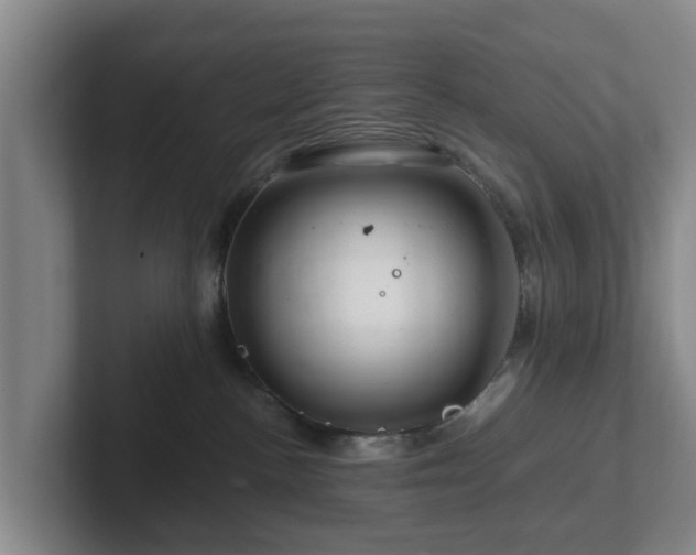 X0000101960188200807251202