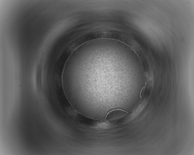 X0000101960189200807251202