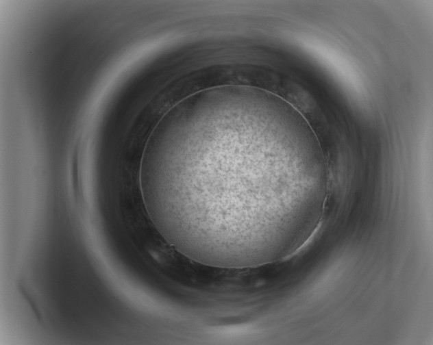 X0000101960191200807251202