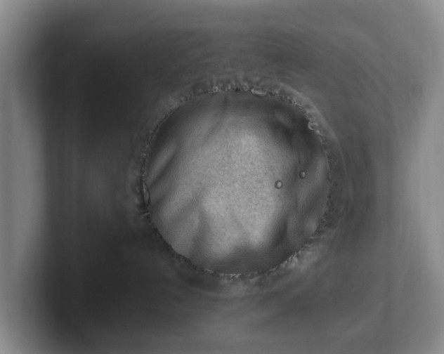 X0000101960192200807251202