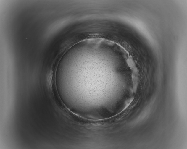 X0000101960194200807251201