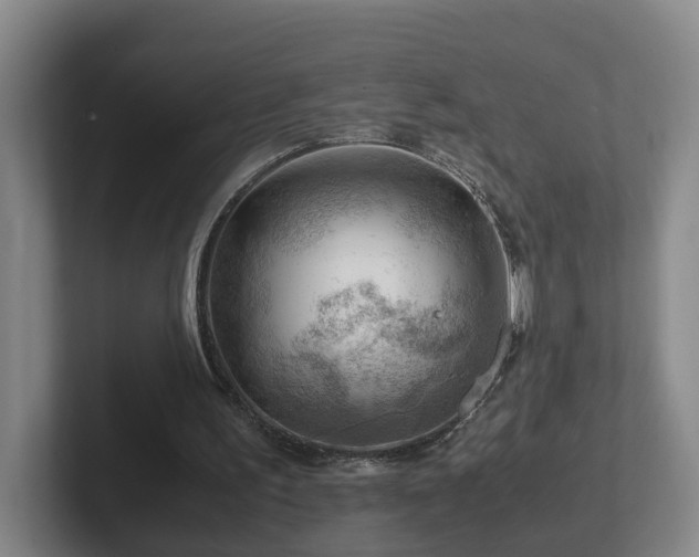 X0000101960195200807251201